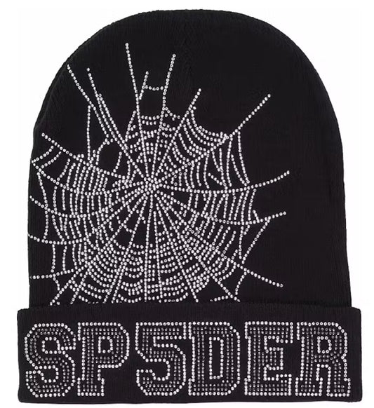 Sp5der Web Beanie
Black