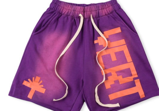 Vertabrae Logo Shorts Purple