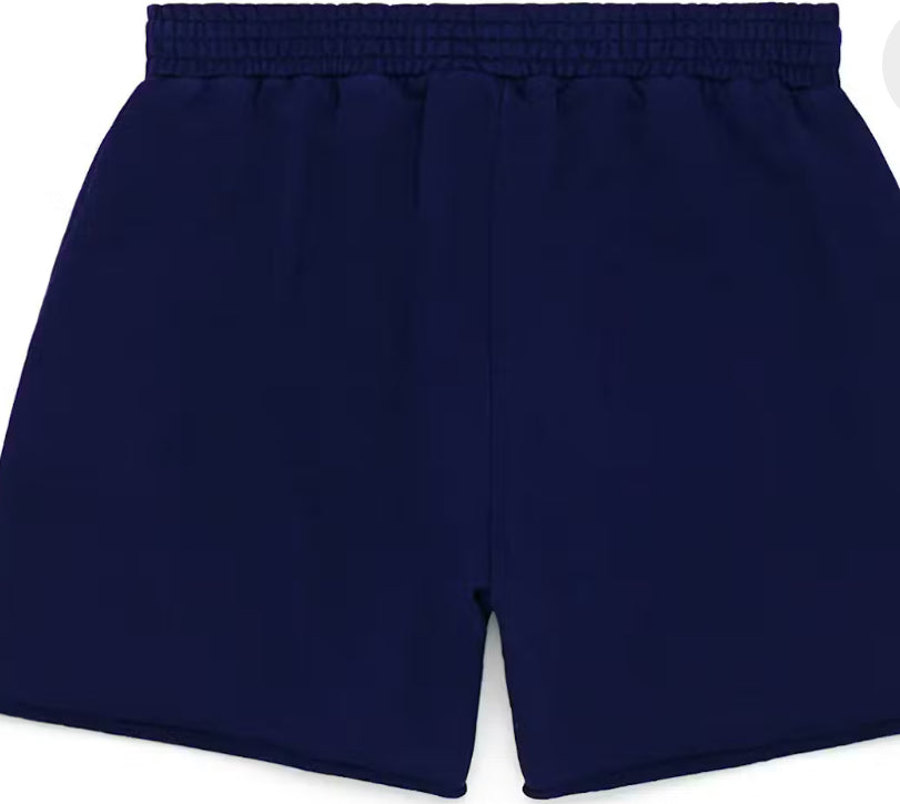 Sp5der OG Web Logo Sweat Short
Navy