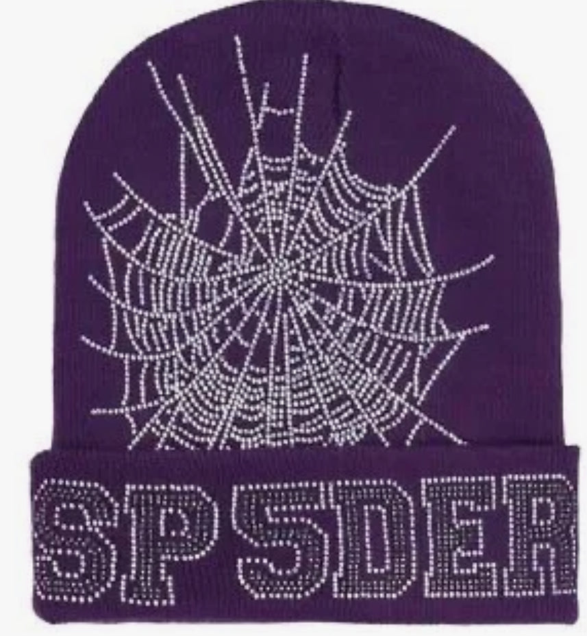 SP5DER Worldwide Web Beanie Purple